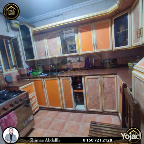 shk-llbyaa-175-m-flmng-tram-alokyl-shymaaa-aabdallh-big-7