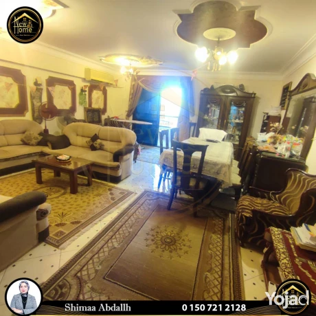shk-llbyaa-175-m-flmng-tram-alokyl-shymaaa-aabdallh-big-0