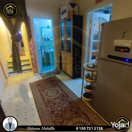 shk-llbyaa-175-m-flmng-tram-alokyl-shymaaa-aabdallh-big-1
