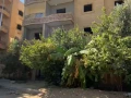 shk-llbyaa-balaabor-tany-mrbaa-mn-alhzam-alakhdr-big-0