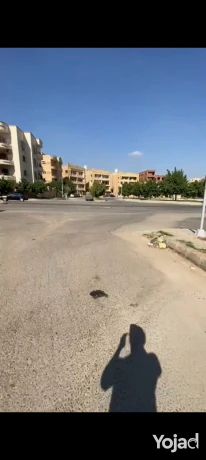 shk-llbyaa-balaabor-tany-mrbaa-mn-alhzam-alakhdr-big-1
