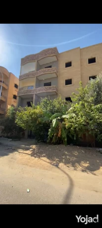 shk-llbyaa-balaabor-tany-mrbaa-mn-alhzam-alakhdr-big-0