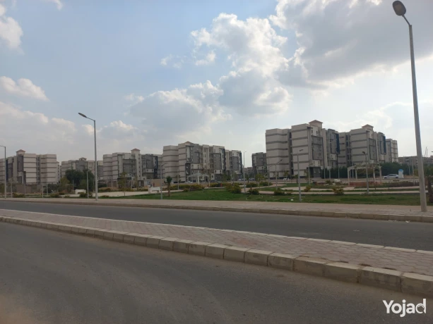 shk-llbyaa-askan-agtmaaa-bmdyn-alshrok-big-2