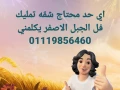 algbl-alasfr-tryk-alkhankh-big-0