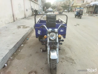 القباري الإسكندرية