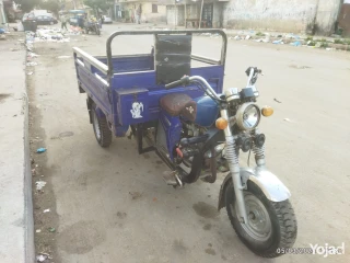 القباري الإسكندرية