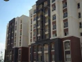 shk-llbyaa-153-m-96-m-kombaond-alyks-oyst-big-1