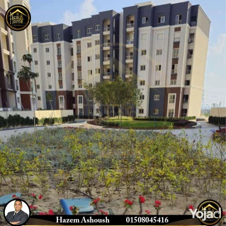 shk-llbyaa-153-m-96-m-kombaond-alyks-oyst-big-0