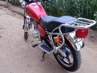 دكرنس الدقهليه