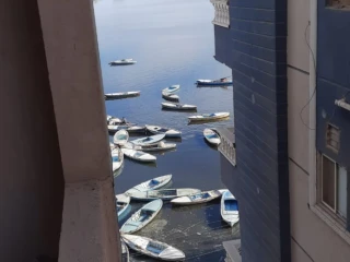 طريق البلاجات .سوق السمك الجديد