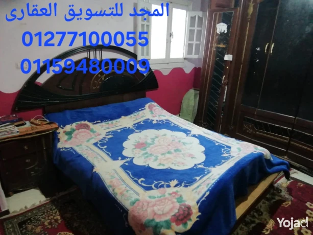 shkh-thfh-f-mhmd-ngyb-krybh-gda-mn-alshaty-omsahh-kbyrh-osaar-big-1