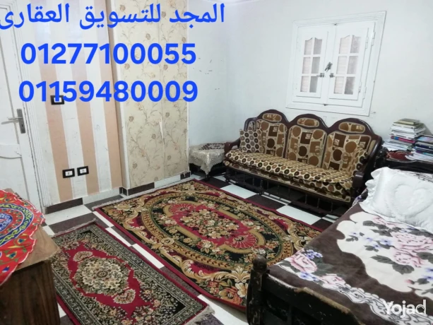 shkh-thfh-f-mhmd-ngyb-krybh-gda-mn-alshaty-omsahh-kbyrh-osaar-big-13