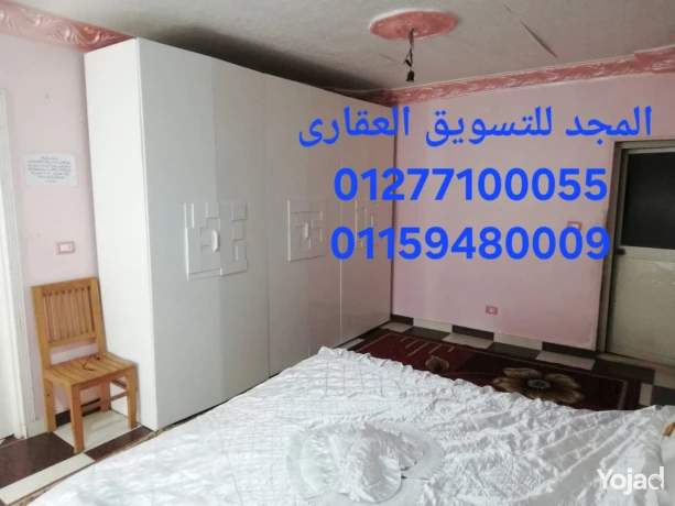 shkh-thfh-f-mhmd-ngyb-krybh-gda-mn-alshaty-omsahh-kbyrh-osaar-big-14