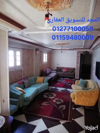 shkh-thfh-f-mhmd-ngyb-krybh-gda-mn-alshaty-omsahh-kbyrh-osaar-big-11
