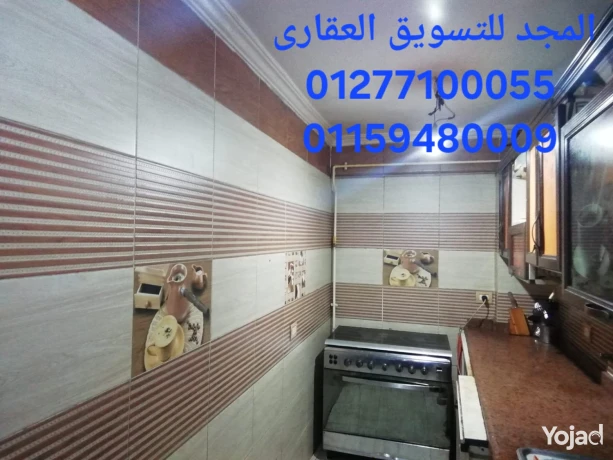 shkh-thfh-f-mhmd-ngyb-krybh-gda-mn-alshaty-omsahh-kbyrh-osaar-big-3