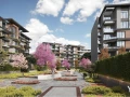 shk-224m-36-m-gardn-barym-lokyshn-bfyo-aaly-land-skyb-big-14