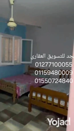 shkh-lltmyz-skn-oastthmar-sharaa-mtfraa-mn-khald-bn-alolyd-big-11