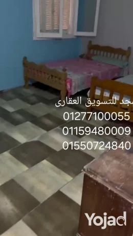 shkh-lltmyz-skn-oastthmar-sharaa-mtfraa-mn-khald-bn-alolyd-big-1