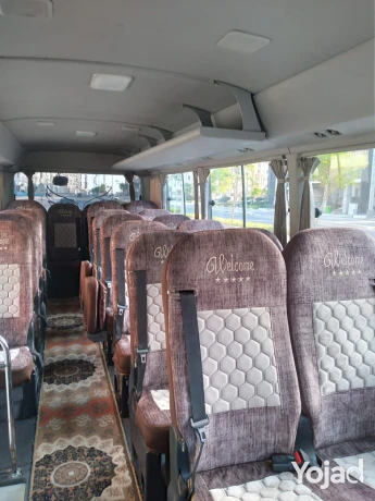 aygar-kostr-aly-alaskndry-alkahr-lymozyn-big-1