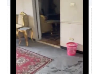 شقه بالدقى للبيع