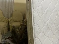 almnsorh-sharaa-hsn-alzyny-mtfraa-mn-sharaa-alatobys-alkdym-big-0