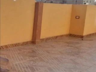 روف بسعر محروق