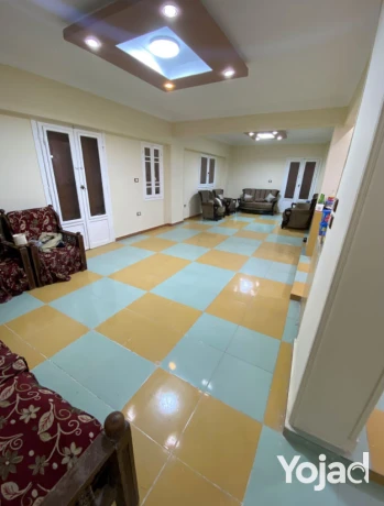 shk-llbyaa-fy-altalbyh-fysl-alryysy-aal-nasytyn-200-mtr-big-0