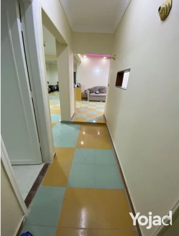 shk-llbyaa-fy-altalbyh-fysl-alryysy-aal-nasytyn-200-mtr-big-2