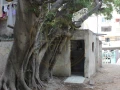 fyla-doblks-llbyaa-1400-m-alozar-khtoat-mn-altram-big-4