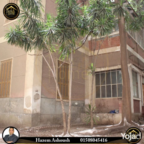 fyla-doblks-llbyaa-1400-m-alozar-khtoat-mn-altram-big-0