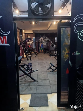 mhl-llaygar-fy-mhmod-khatr-bgoar-ksm-hloan-big-2
