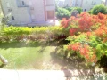 fyla-llbyaa-fy-alsahl-alshmaly-kryh-dyana-big-9