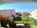 fyla-llbyaa-fy-alsahl-alshmaly-kryh-dyana-big-7