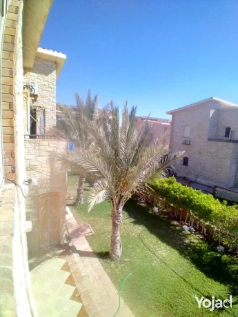 fyla-llbyaa-fy-alsahl-alshmaly-kryh-dyana-big-10