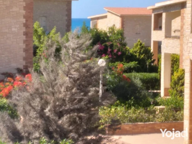 fyla-llbyaa-fy-alsahl-alshmaly-kryh-dyana-big-5