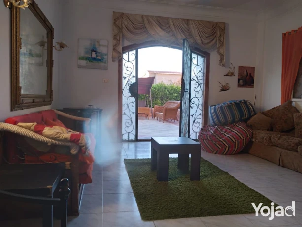 fyla-llbyaa-fy-alsahl-alshmaly-kryh-dyana-big-1