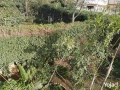 fyla-standalone-llbyaa-big-2