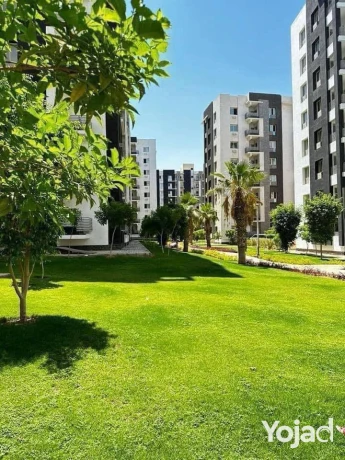 shk-llbyaa-140-m-fy-kmbond-almksd-astlam-fory-big-4