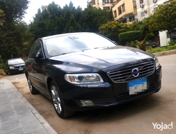 folfo-s80-tob-layn-big-3