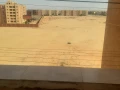 shkh-llbyaa-bsaar-tgar-big-9