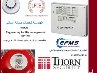 Thorne Fire Alarm