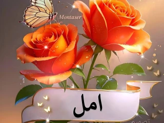 جنط مقاس ١٤