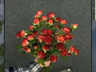 "موبايل [موبايل] للبيع - حالة ممتازة"