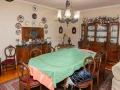shk-llbyaa-283-m-alazaryt-sharaa-alfraaan-alokyl-hazm-big-0