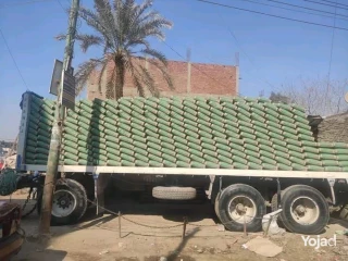 اسمنت حلوان من شركة النور