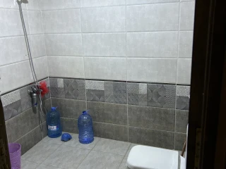 الاسكندريه جمال عبد الناصر امام مطعم حسني