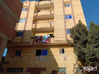 عمرة للبيع