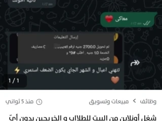 شغل أونلاين بدون مؤهلات