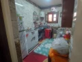 shk-llbyaa-balhy-almmyz-13-alyonany-big-12