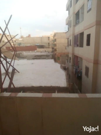 shk-balhanofyl-llbyaa-llskn-ao-almsyf-big-14